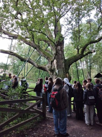 FB_IMG_1762242620352