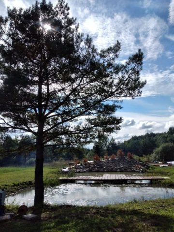 FB_IMG_1762242674247