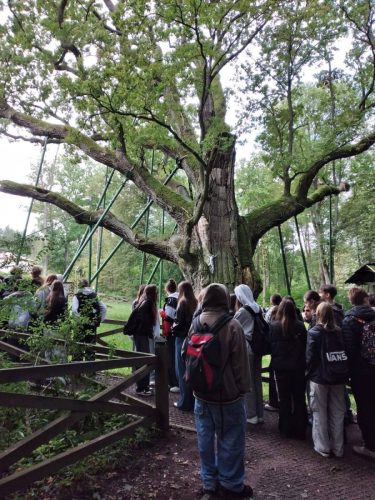 FB_IMG_1762242620352