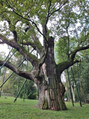 FB_IMG_1762242622517